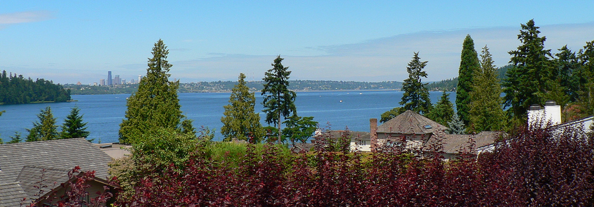 Mercer Island3_banner